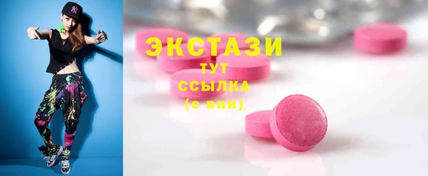 гидра Арсеньев