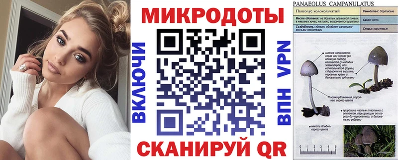 Псилоцибиновые грибы GOLDEN TEACHER  blacksprut ссылка  Морозовск 